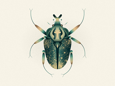Goliathus animal beetle design geometric grain illustration insect leo alexandre minimal nature scarab textures vector