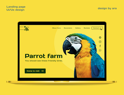 Landing page bird design graphic landing ui ux web website