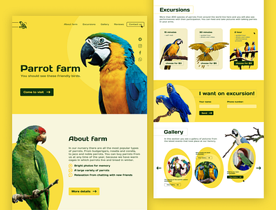 Landing page bird design figma graphic landing photoshop ui ux web website