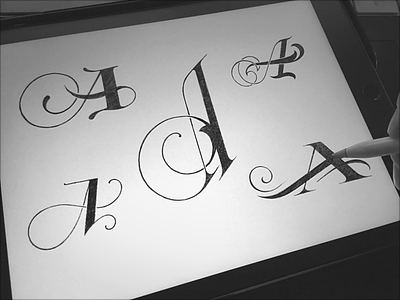 Toodles 151 - A5 apple pencil hand drawn ipad pro lettering procreate sketch toodles