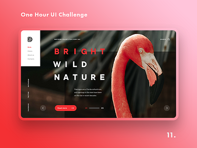One Hour UI Challenge - 11. - Flamingo bird challenge dailyui flamingo landing pink flamingo promo site ui uiux web design