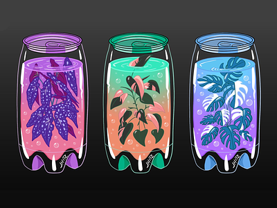 Plant Soda design illustration plants stickers