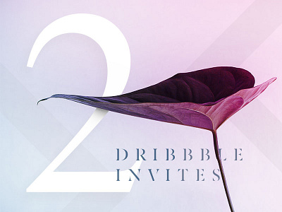 2 x Dribbble Invites Giveaway dribbble giveaway gradient invite leaf neon plant player prospect stencil