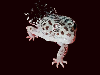 Gecko