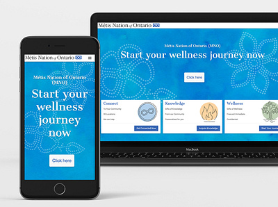 Métis Nation Survey App app design web design
