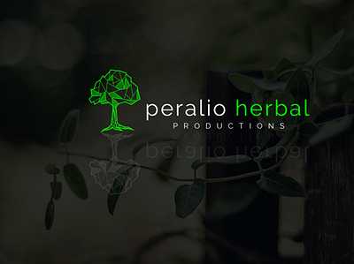 Modern Minimalist Logo design for herbal company flat flat minimal logo logo minimalist logo minimalist logo design modern logo