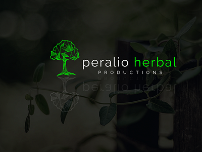 Modern Minimalist Logo design for herbal company