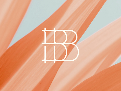 B b logotype monogram type typography
