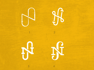 NS brand logo nil santana typography