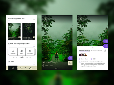 Serrat - Travel App app design simple ui