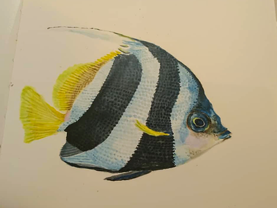 Angel fish illustration watercolor watercolor painting