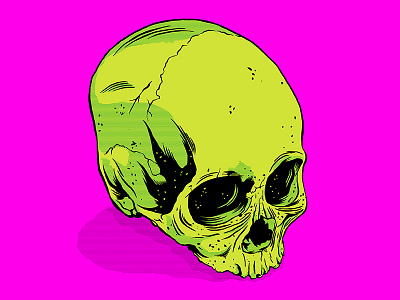 Skull illustration skull