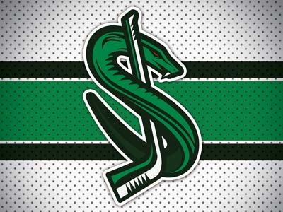 Wall Street Snakes Hockey logo