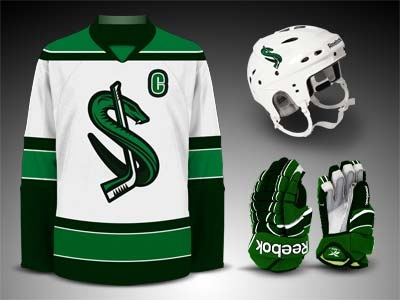 Wall Street Snakes Hockey kit illustration logos vector