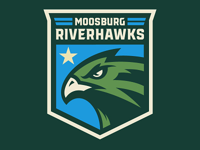 Moosburg Riverhawks bird hawk hockey ice hockey riverhawks sports sports branding