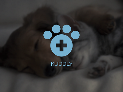 Kuddly Logo branding design process logo paw pet veterinarian