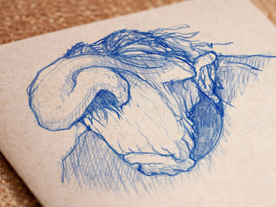 Nosy Norris' Nose Hair cranky crusty drawing man noes hair nosy old man sketch
