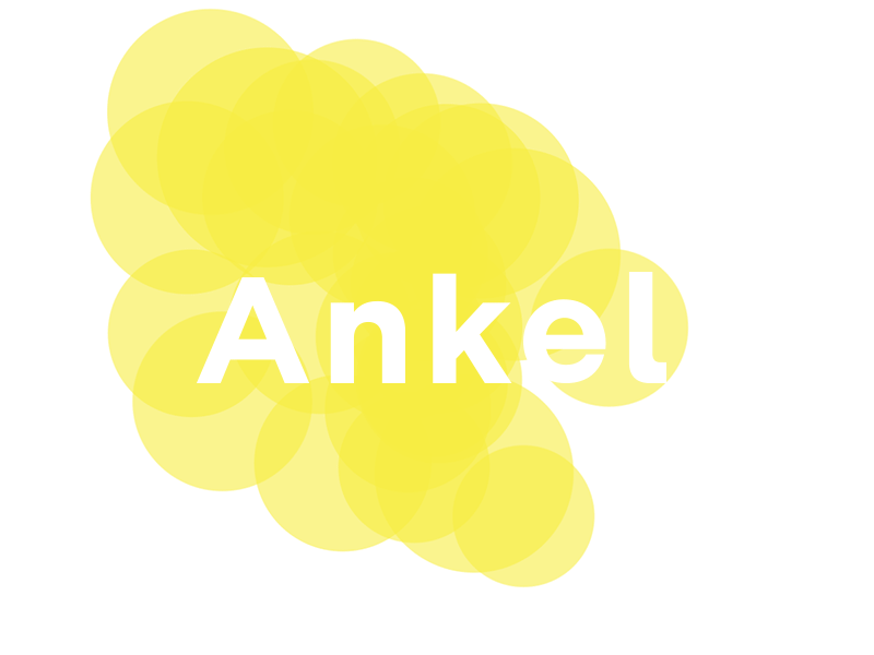 Ankel