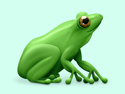 FrogRadio Mac App Icon frog icon mac app
