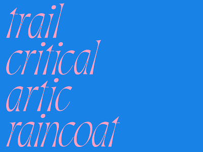 Italics branding color contrast focus lab italic letters serifs type typography