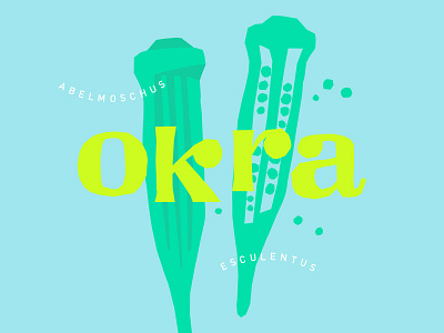 Okra color farm food illustration okra southern type typography