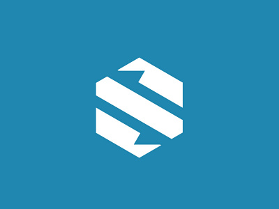 S + Arrows Logo Concept