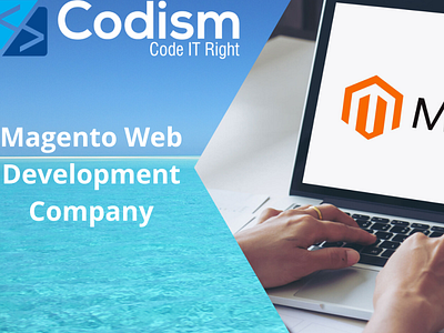 Magento development company magento developers magento development services