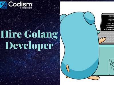 Hire Golang developer