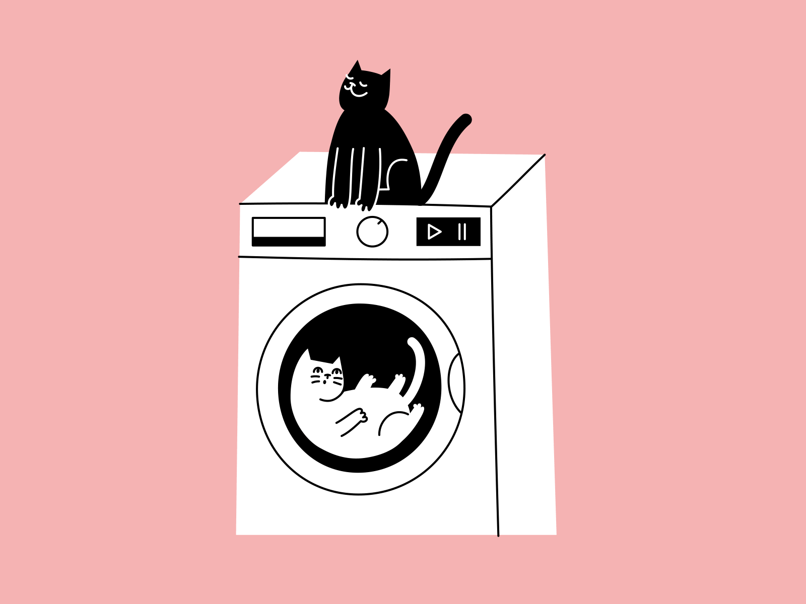 Cats and Laundry adobe illustrator after effects animation cat design graphic design illustration laundry motion graphics vector washing machine