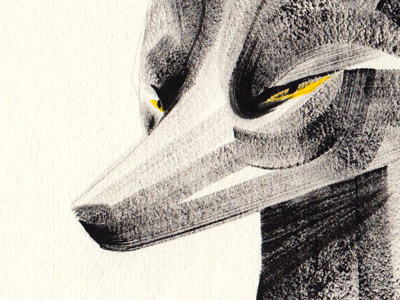 silver fox animals fox gouache illustration