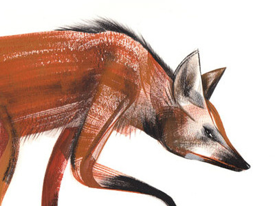 maned wolf animals gouache illustration wolf