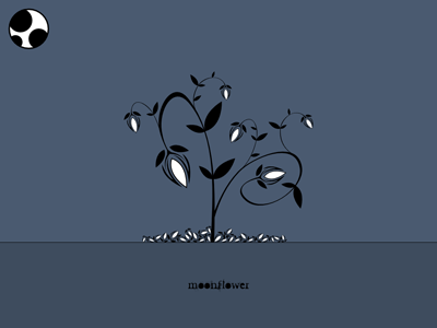 Moonflower flower vector