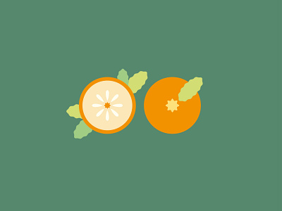 Orange graphic illustration illustration illustration art leafs oranges vectorart warm colors