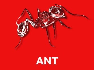 Pinnacle ANT sacramento exterminator