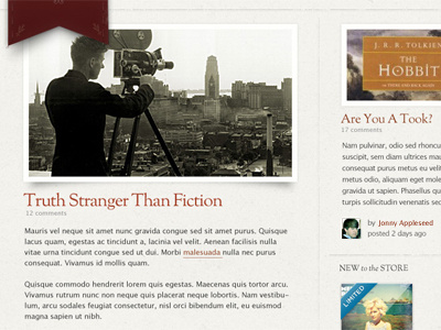 Stranger Than Fiction blog redesign website wordpress