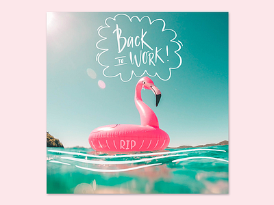 Back To Work calligraphy eork flamingo lettering pink procreate summer