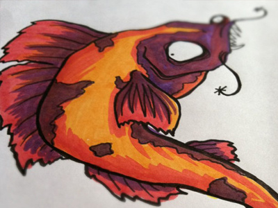 Coy choonimal copics coy fish hand drawn illustration