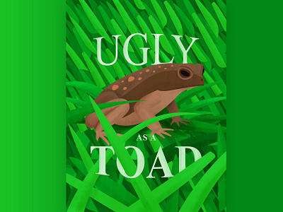 Toad frog illustration times new roman toad vector