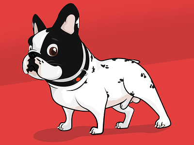 My Frenchie bulldog cash dog frenchie illustration mateus