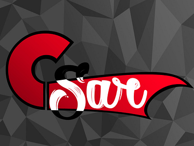 Csar Music Logo design icon illustration logo typography