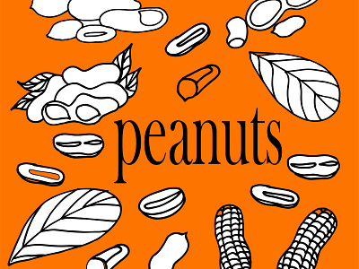 арахис принт на ткань doodle healthy and tasty peanut butter illustrator on a cosmetic bag on packaging pattern peanut leaves peanuts peanuts in the skin poster print cards print for a hoodie print on a notebook print on a phone case print on a t shirt print on baby clothes print on fabric print stickers set vector