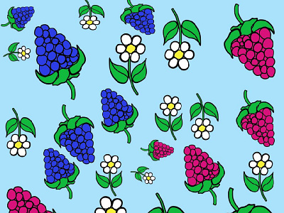 botany, blooming, blossoms, flowers, raspberries, and background berries blackberries blooming blossoms blue botany butterflies butterfly field flowers forest berries green larva of on raspberries the yellow