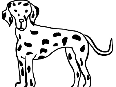 Dalmatian dalmatian, dog, happy dalmatian, dog paws, bones, dog a picture for a business card black and white dalmatian spots bones dalmatian dog dog food dog paws happy dalmatian illustration illustration for instagram logo set for printing on a picture set for printing on posters