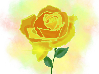 yellow rose on a colored background