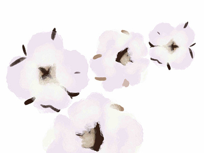cotton flowers,fluffy delicate,cotton flower,white cotton wool f a picture for a business card design illustration illustrator logo postcard set for printing on a picture set for printing on posters ui vector