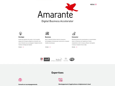 Amarante web site