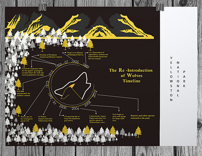 Yellowstone Park Timeline adobe illustrator design graphic design logo logodesign nature nature design poster poster design re introduction timeline timeline design typography wolves