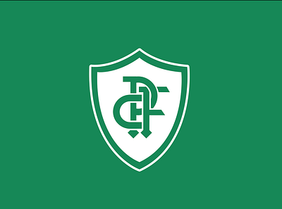 Identidade Visual - Palmeiras Futebol Clube branding design idenity identity branding identity design identitydesign soccer soccer logo