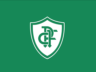 Identidade Visual - Palmeiras Futebol Clube