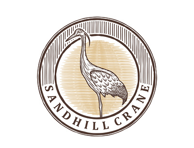 Sandhill Crane bird vintage logo animal wildlife animal aves bird bird icon bird logo design emblem hunting illustration logo minimal shandillcrane vector vintage water wildlife